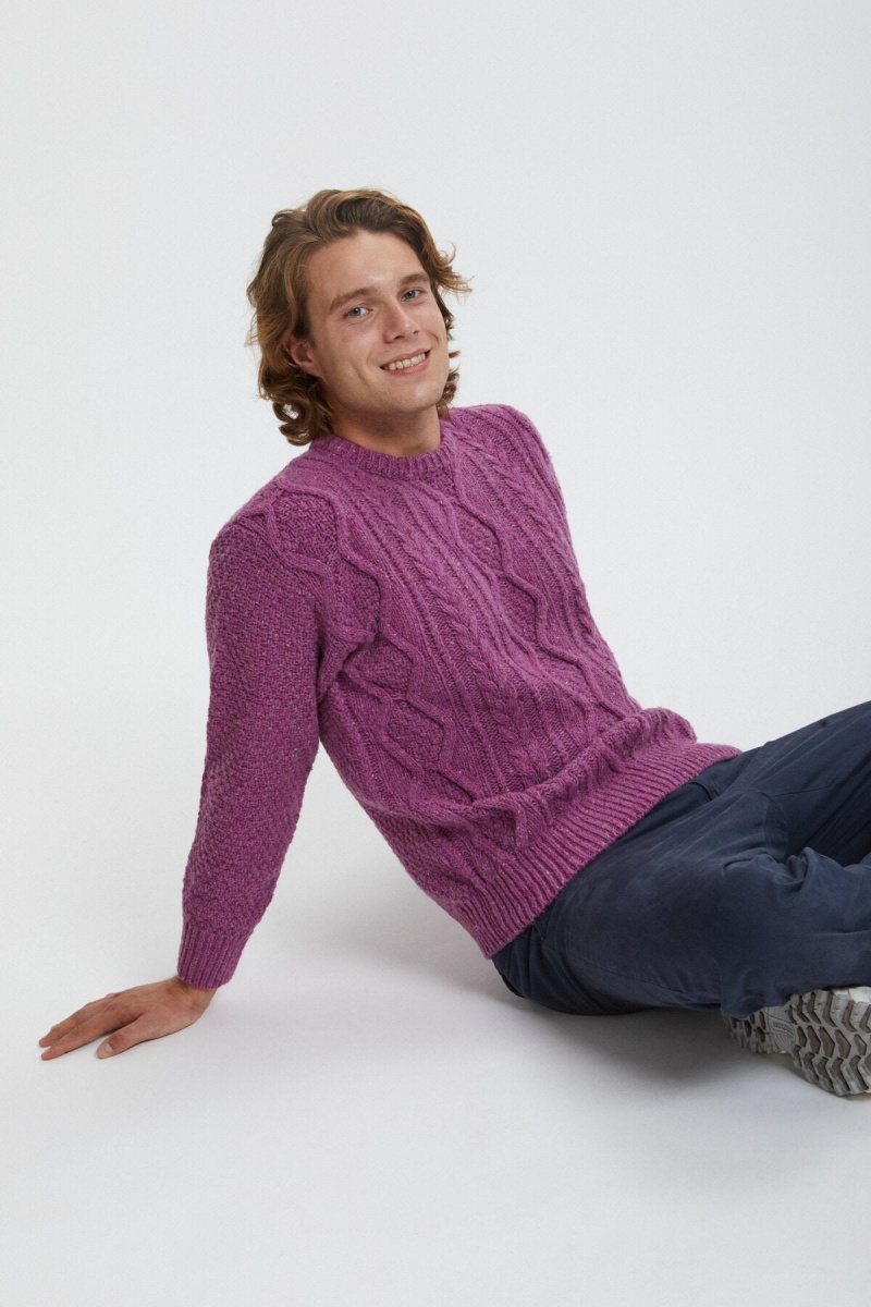 Chandails Baracuta Aran Crew Neck Violette | NBXYSR-540